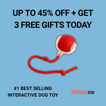 The RolloRunner™ - Keep Your Dog Calm, Engaged & Satisfied (Even When You're Busy)