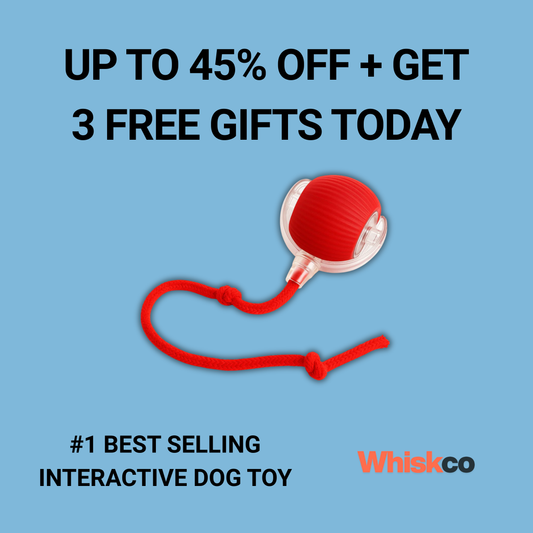The RolloRunner™ - Keep Your Dog Calm, Engaged & Satisfied (Even When You're Busy)