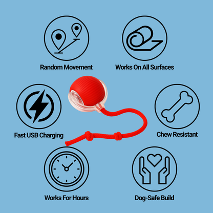 The RolloRunner™ - Keep Your Dog Calm, Engaged & Satisfied (Even When You're Busy)