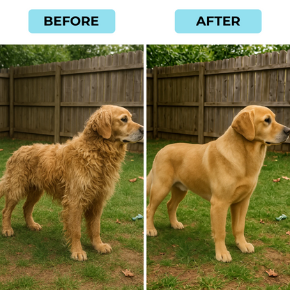 WhiskCo Dog Grooming Device