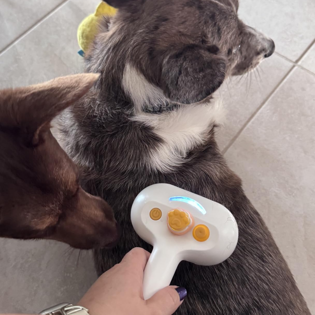 WhiskCo Dog Grooming Device