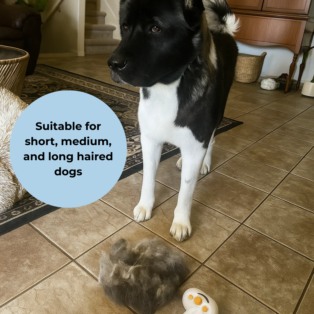 WhiskCo Dog Grooming Device